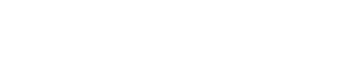 Partnered with top brand Logoipsum – Digital Marketing Service in Chennai by Flowerindigital