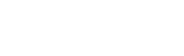 Corporate partner Logoipsum logo – supporting digital marketing service in Chennai with Flowerindigital