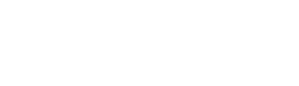 Collaboration with Logoipsum for digital excellence – Digital Marketing Service in Chennai by Flowerindigital